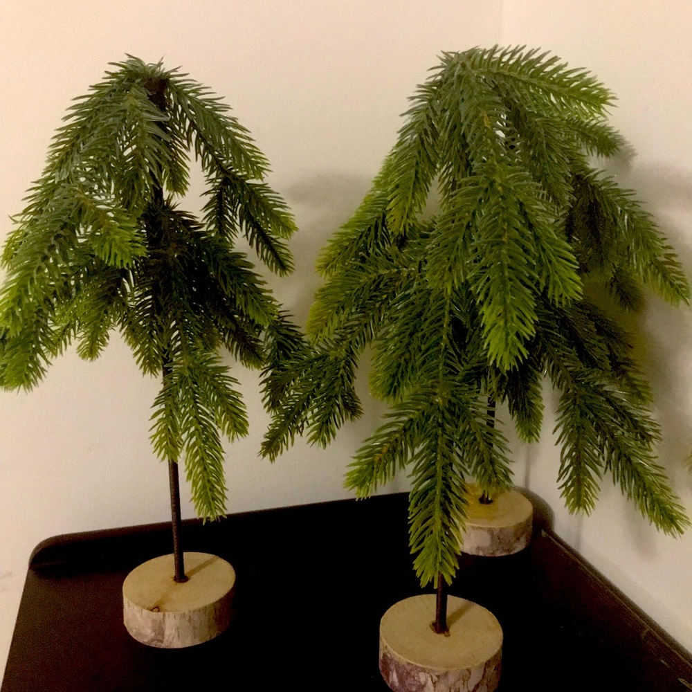Set of 3 mini Christmas trees with wooden base
